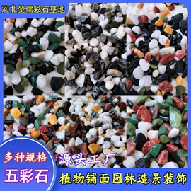 沙石砾石;地坪;景观石