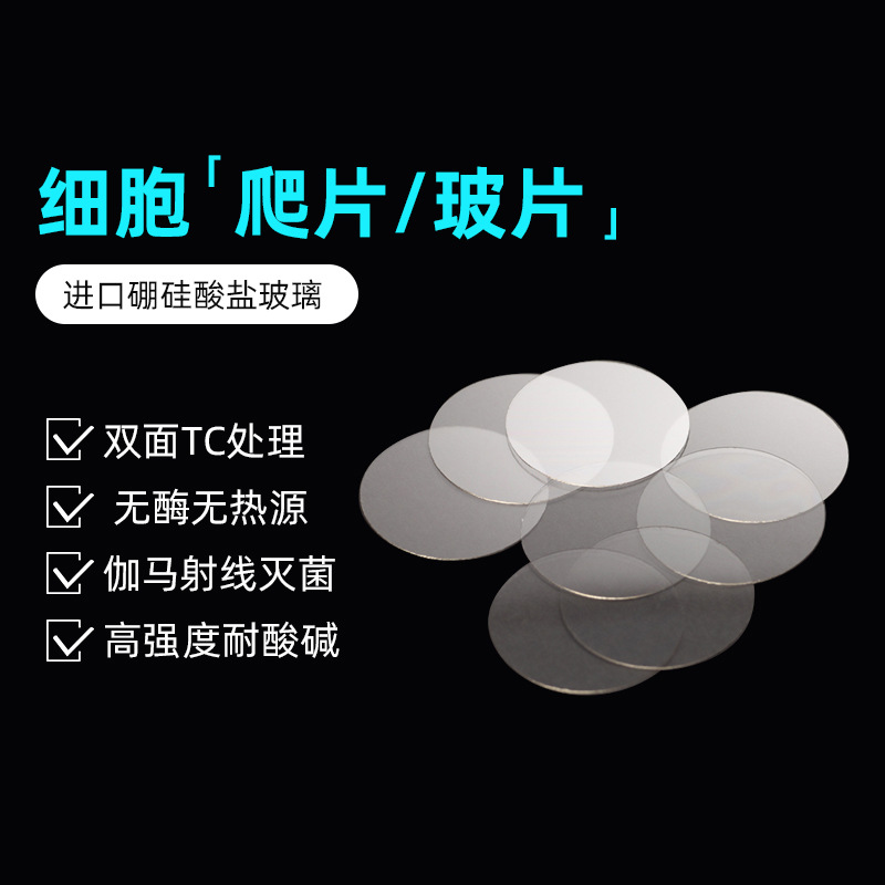 NEST耐思 细胞培养板用细胞爬片 TC盖玻片圆爬片 100个/包