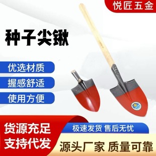 ֲ����Ұ�˷N��ľ���P �N�Ӽⷽ�@С�F�P��@��~�P�����s���P��