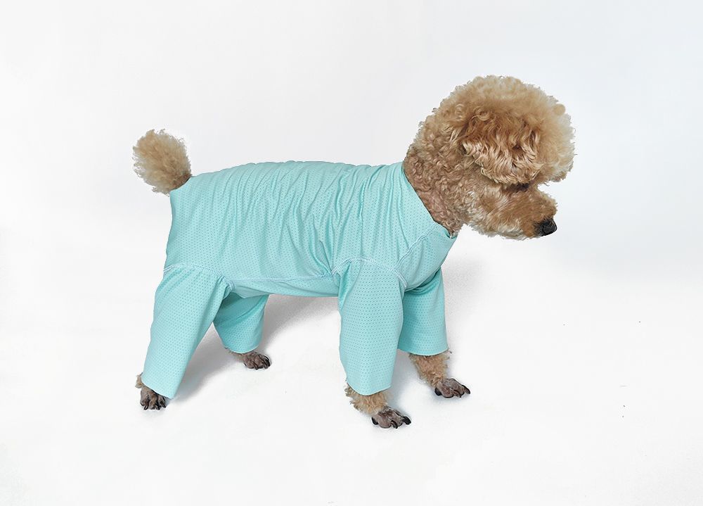 Svalkande hundklänning för bichon solskydd och insektskydd_voghion.com