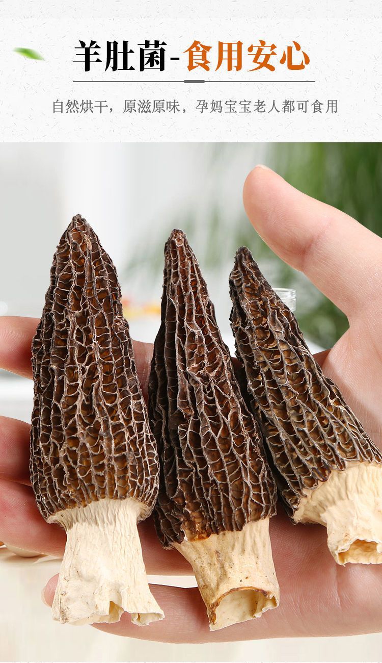 Dried Morel Mushrooms Yang Du Jun Morchella Whole Wild Foraged Yunnan Culinary Gourmet Soup Fungi specifications