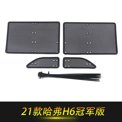 Zhongwang — Haval H6 Insect-Proof Net, National Trend - 21-h6-champion-edition-stainless-steel