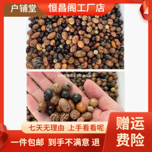 �S�Ұ��]�Ѵ�׸��������ɢ�� �����P������ľ�~��ǧ���������