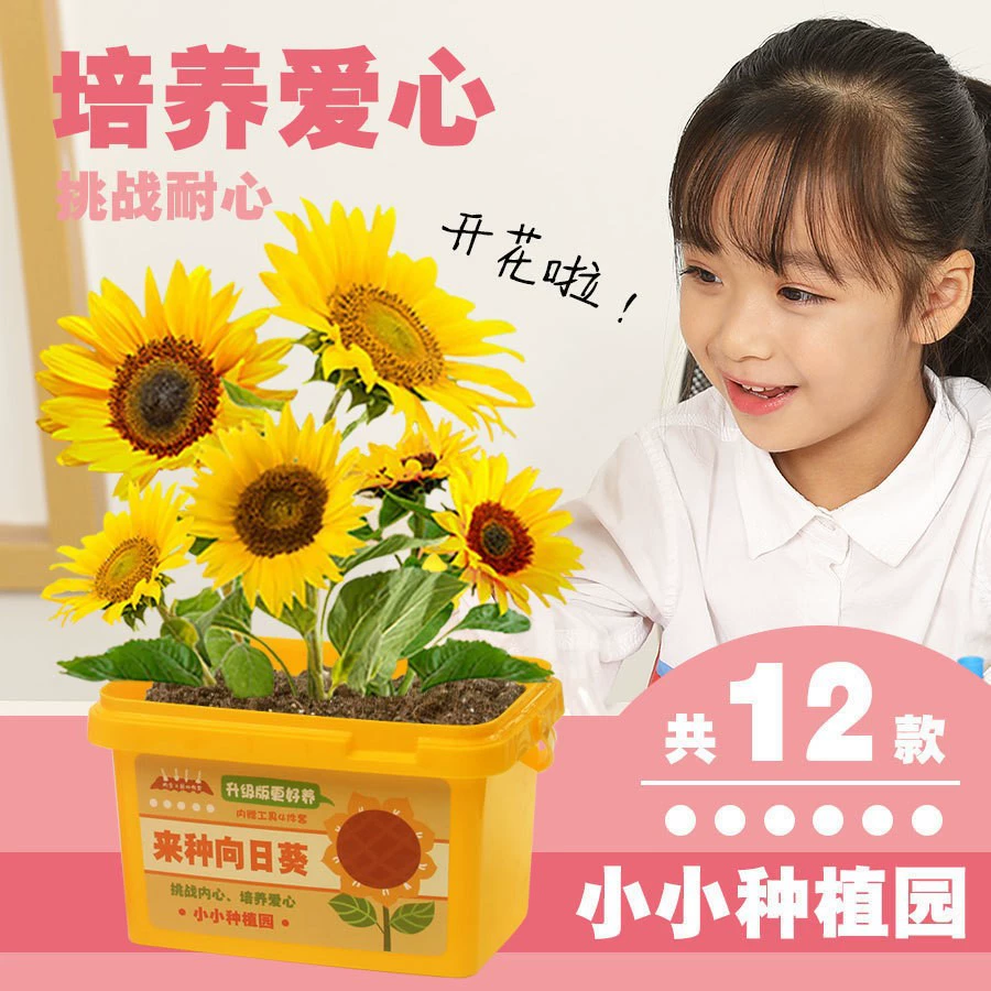 Микроландшафтные украшения из моха Цинпинского мира (украшения-6 KT Cats) Собранные маленькие украшения своими руками, игрушки