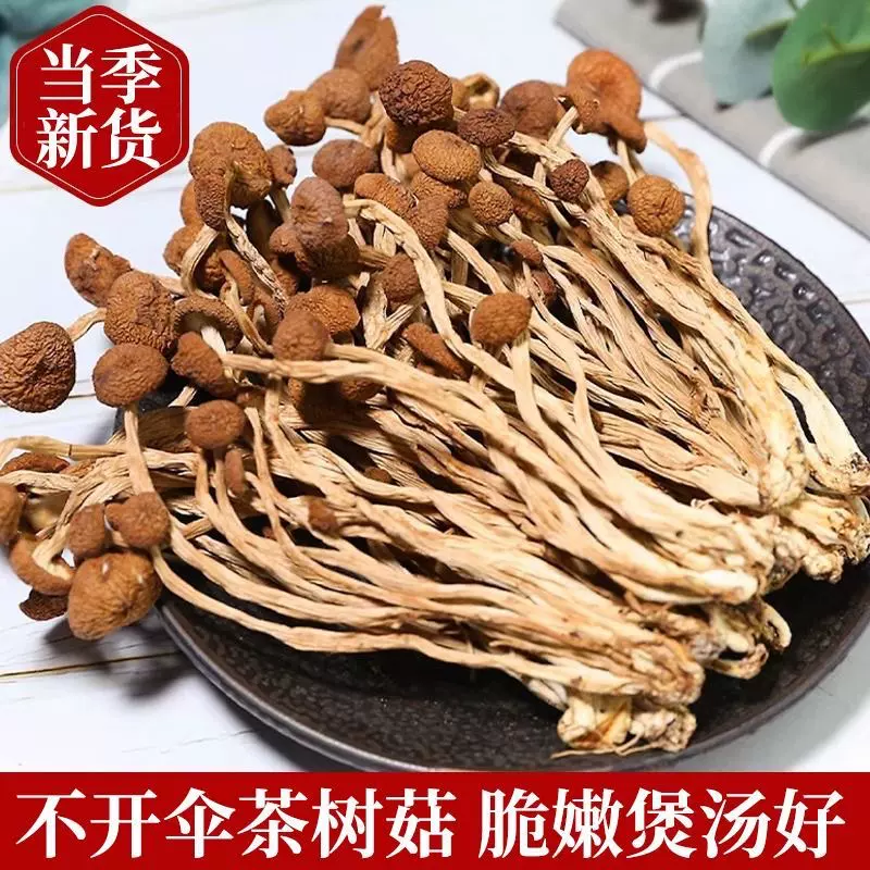 茶树菇干货不开伞干货菌菇云南新货菌菇煲汤食材散装食用菌菇批发