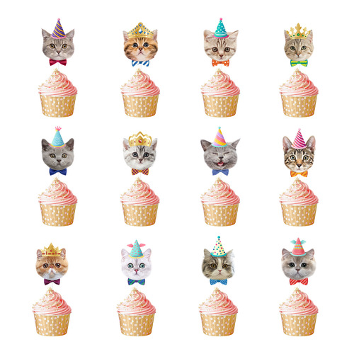 Cross-border cat pet party birthday flag latte art set colorful pet cat cake decoration plug-in wholesale customization