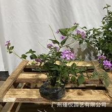 ϻRѵGľԻR쾰^GֲɫRѵ