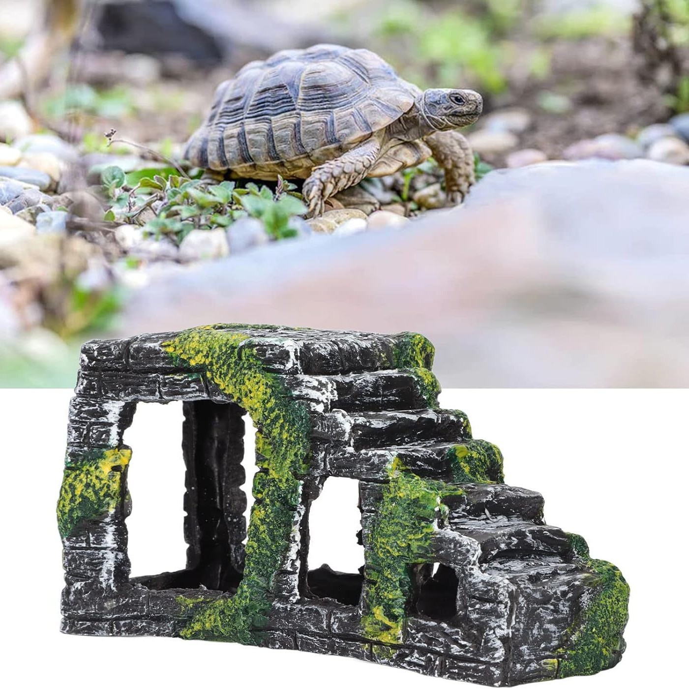 Mascota de escalada, plataforma de secado de tortuga, plataforma de escalada, tanque de tortuga, paisaje, plataforma de piedra de espalda, alto nivel de agua, refugio, casa de cueva, modelo de descanso, plataforma de tortuga