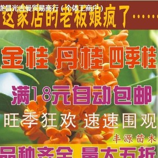 ���𵤹�tѪ�𻨘�������y�𻨠�Ԫ������ɰС���ļ������