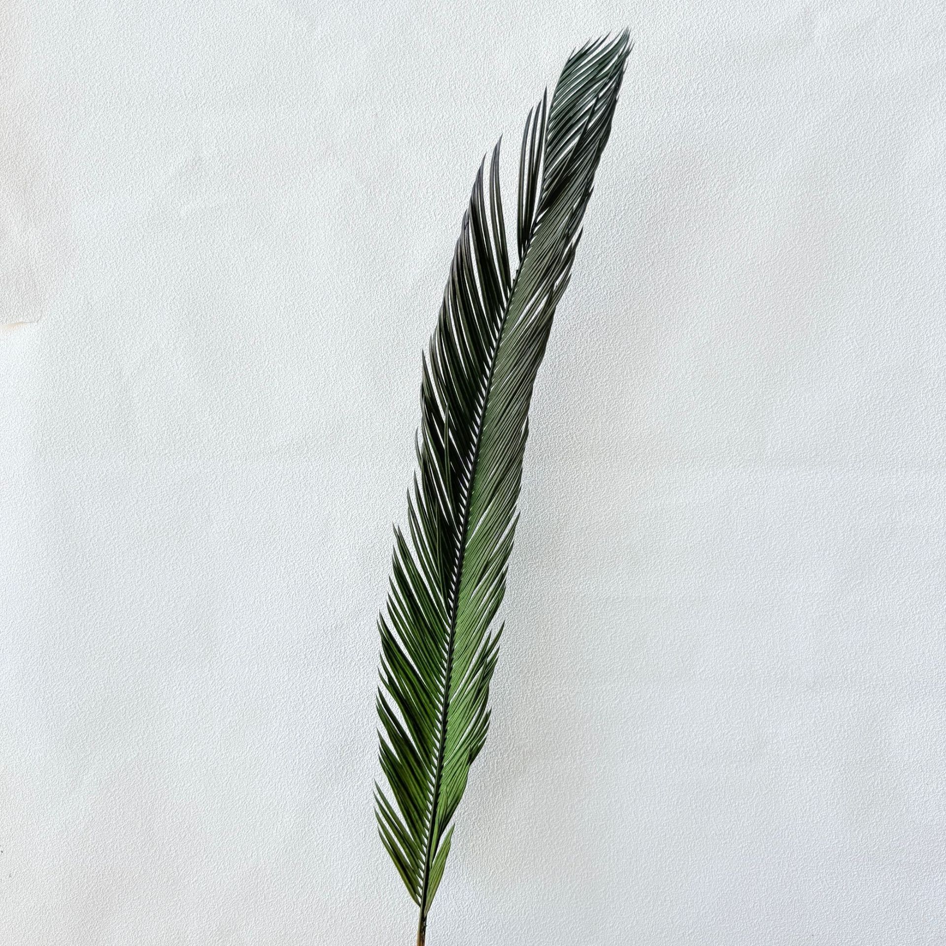 철 잎 짙은 녹색