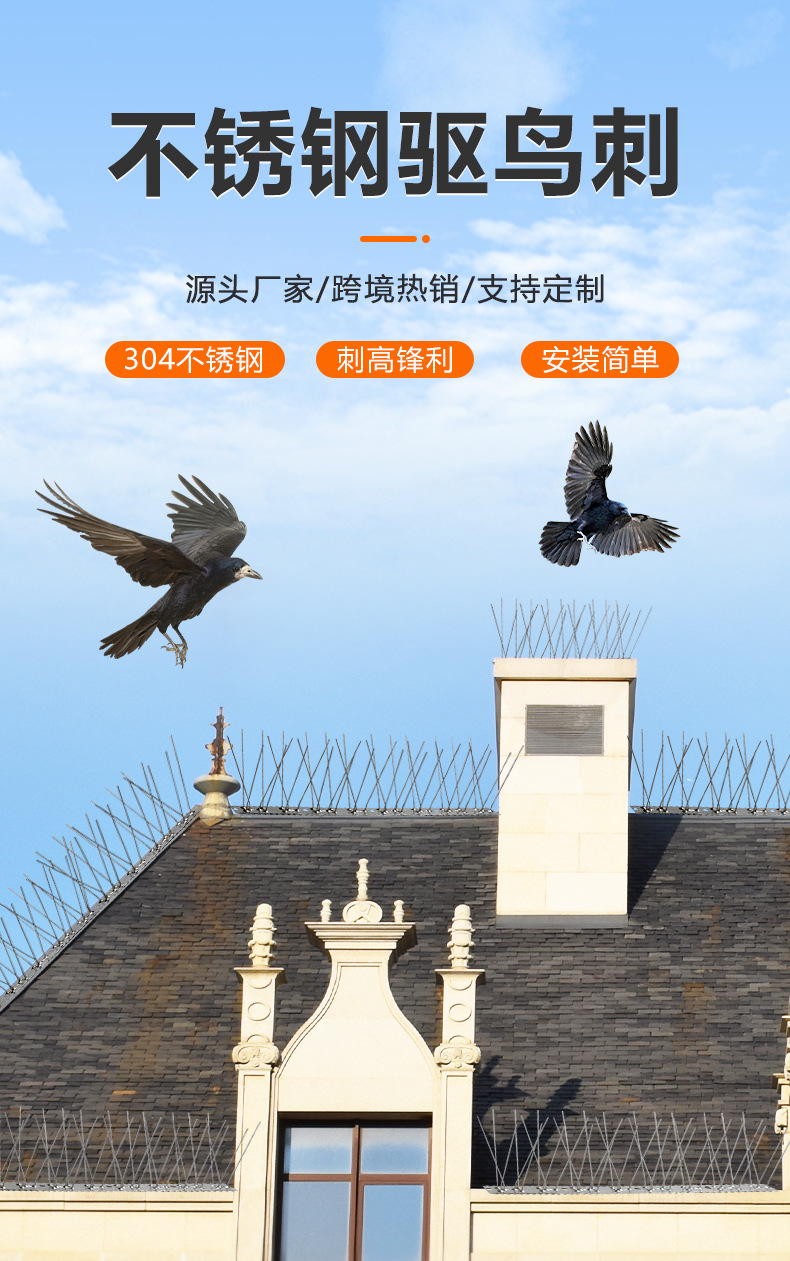 不锈钢防鸟刺 (1)