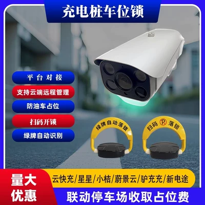 Car lock – toll parking lock