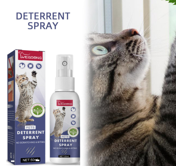 微信截图_20230523132318