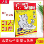 达豪强力粘鼠板A1标准型捉粘大老鼠贴沾胶抓灭鼠捕鼠神器一窝1片