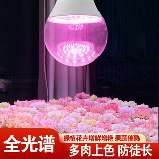 Full-Spectrum Led Plant Growth Bulb for Succulents, Supplementary Light for Green Plants, Fruits, Vegetables, Dragon Fruit, Off-Season Ripening, Sun-Like