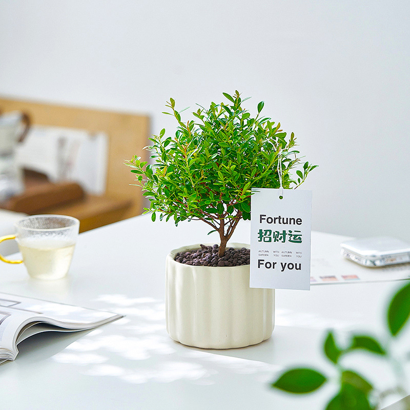 fd35ba6a-2461-4e0a-814f-bbc5781833e5.jpe