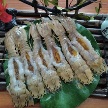 ��S���|�����r����ȫĸƤƤ�r�u�r�����r�����|���r�|�۱����r��