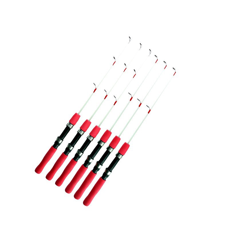 8815205265_598824584