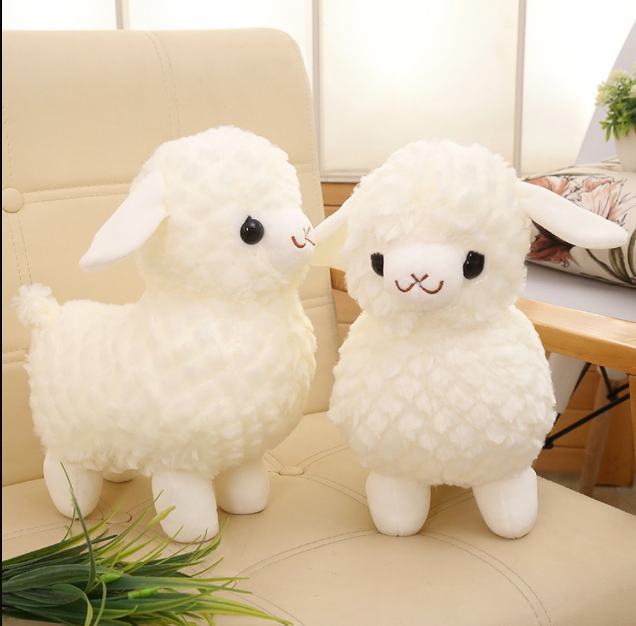 O1CN01YHQCdr1TGdSxeGCKg_!!3315