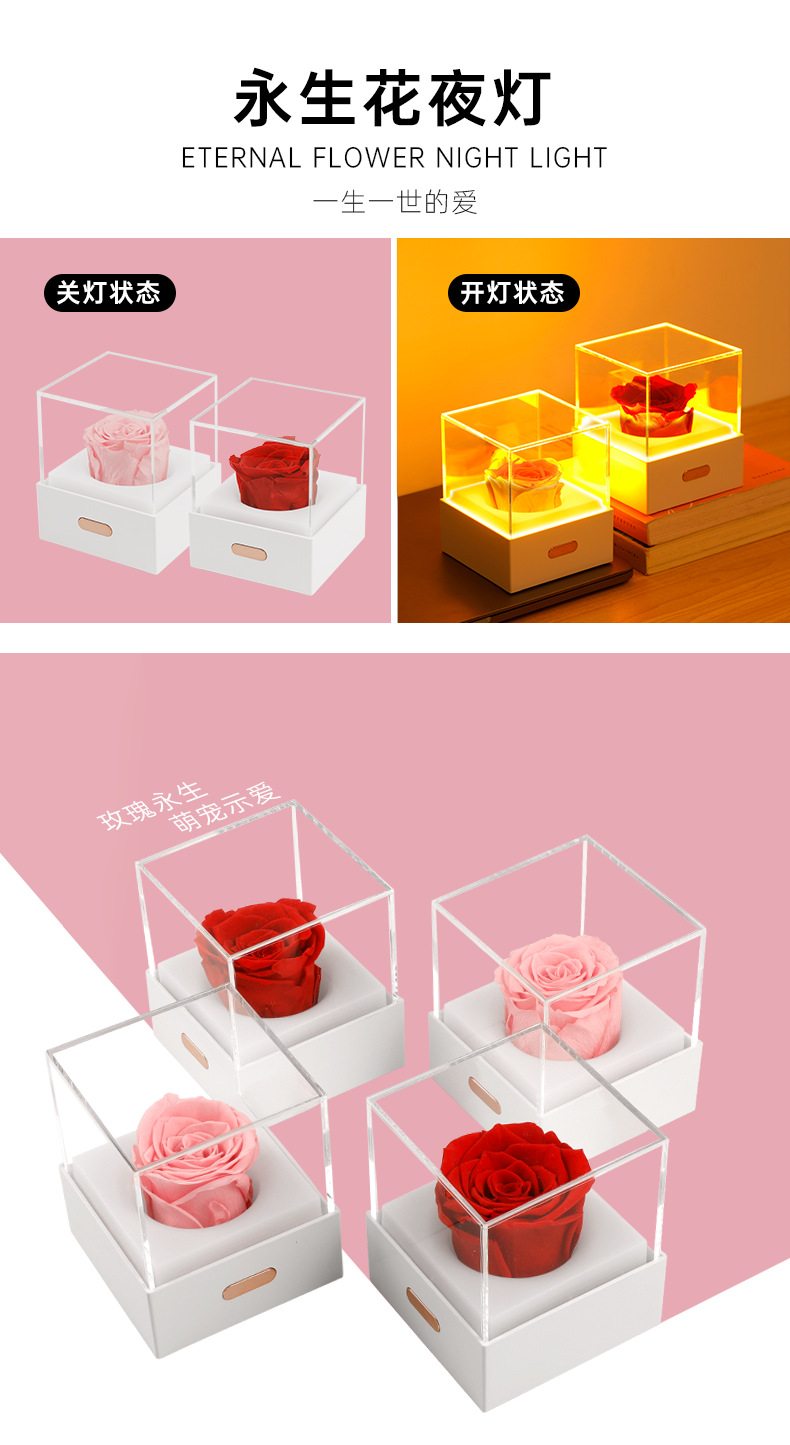 永生花夜灯_01.png