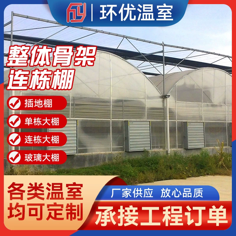 Поставка теплицы, сельскохозяйственная экскурсионная рассады, овощная теплица, непрерывная теплица, солнцезащитная теплица со стальным каркасом