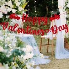 ���˽��ɶԳ���������������ذ���Happy Valentine&rsquo;s Day����