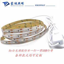 2835USB灯带 5V60灯5mm暖光8mm灯条 现货白光无极调光高亮led灯珠