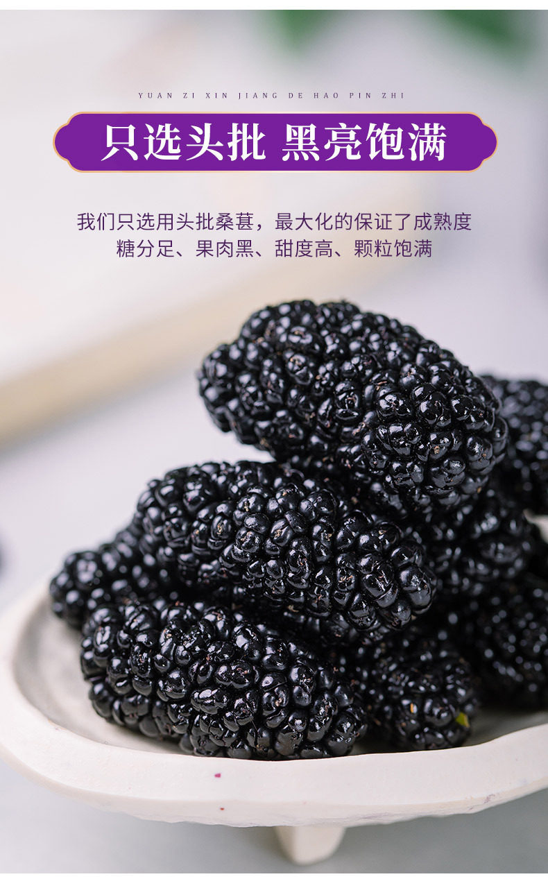 Xinjiang Dried Black Mulberry Sang Shen Zi Whole Berries for Tea Wine and Snacking 500g overview