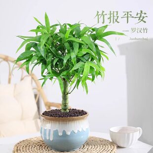 �_�h���������Կ͏d�k�����쾰�Ϙ������^�p�����������ͺ�ֲ��