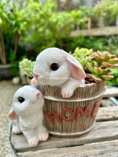 �p�÷�ľͰ���� ����Gֲ���滨���̨¶̨��֬������Ȥ���@�b�