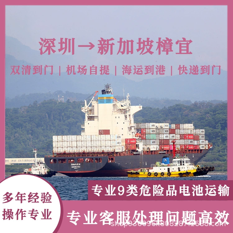 18650 батареи Шэньчжэнь в Сингапур Changi Air Shipping, включая налог на двойную очистку до двери CIF/DDP