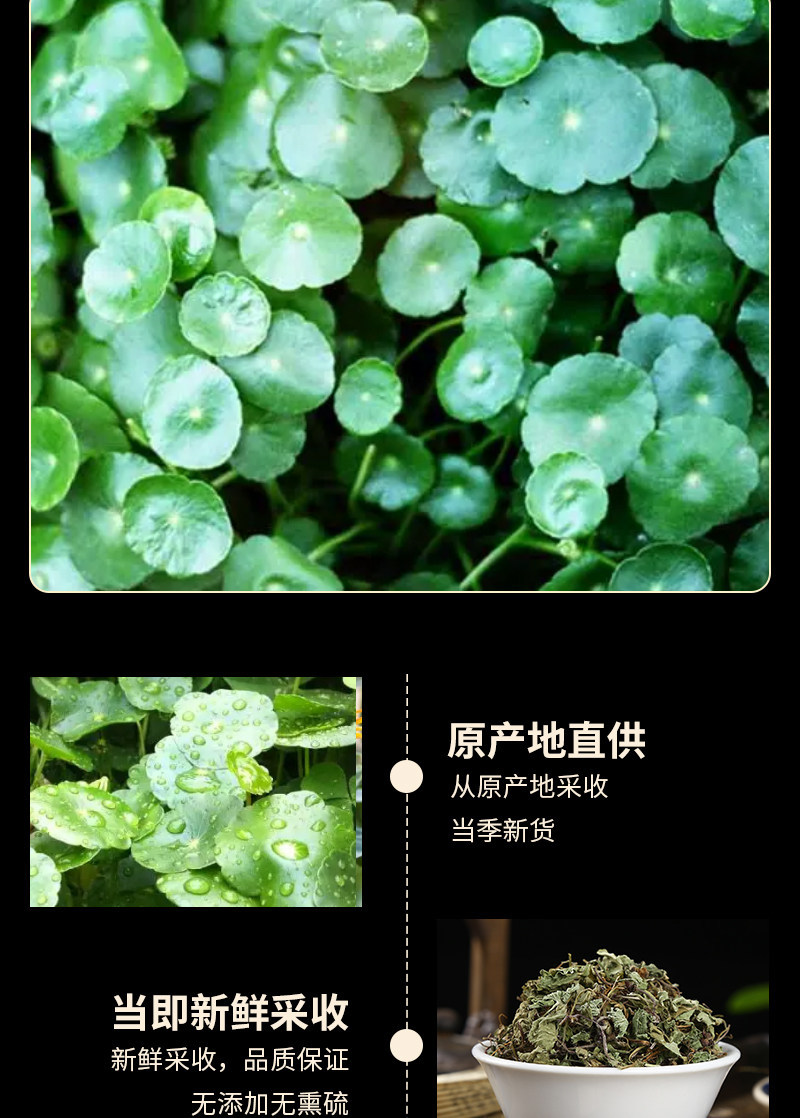 Dried Centella Herb Ji Xue Cao 100g Wild Harvested Whole Herb for Traditional Herbal Tea and Decoction overview