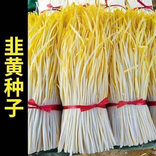 �ļ����S�N���S�²����͵͜�����߮a�r�Ҵ������Ծ²��ﶬ�߲���