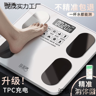 Intelligent Body Fat Scale, High-Precision Household Accurate Charging Scale, Electronic Scale, Dormitory Girls' Fat Loss Scale