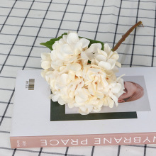 �ߙn�����֧������@�L�ҾӾƵ껨ˇ�b�c���ٻ���Ʒ�������l