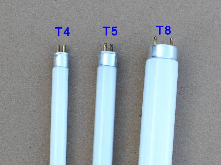 7712b9b6-1ace-4048-8726-be32ccc159dc.jpe