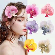 �����L��������m�l�A��߅�A�^�����滨��l���A���^����հl�Ʒ