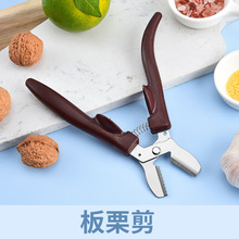 �S�����l���P䓰����������_�������ÈԹ��Q���������A���_�ڹ���