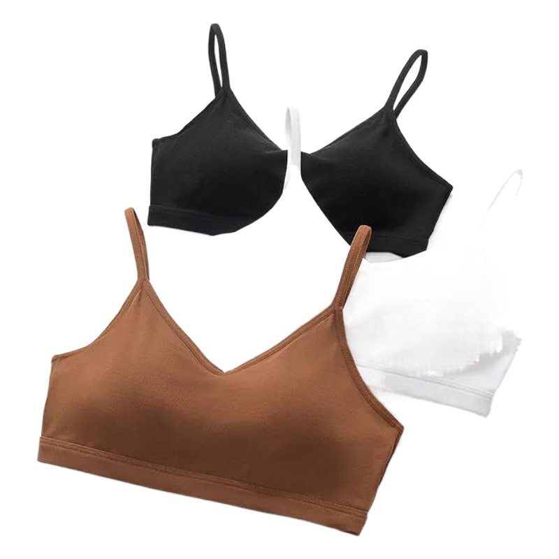 Suspender Underwear, Beautiful Back Bra, One-Piece Chest-Wrapped Women's Wire-Free Vest Style, Anti-Exposure Bandeau Style, Breast-Retracting Wholesale