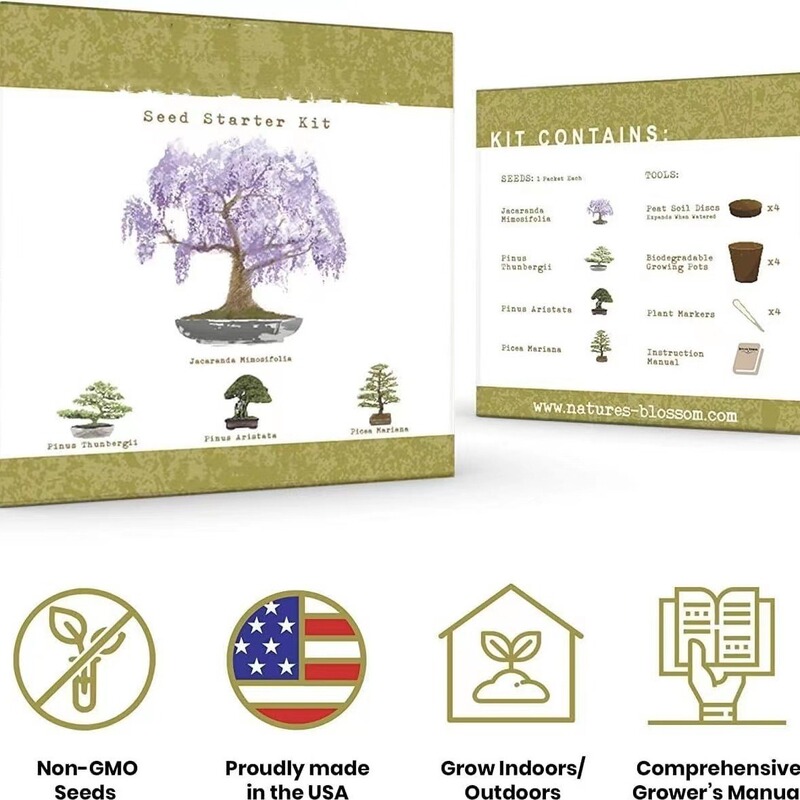Cross-Border Creative DIY Kidsren's Adult Plant Box Set Office Garden Balcony Potted Planting Home Furnishings