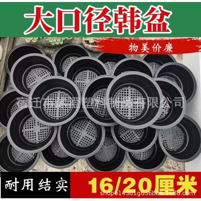 Мясистый пластиковый цветочный горшок в Корейском стиле супер большой диаметр 20 см зеленый горшок для растений черное дерево Вьентьян чашка для рассады седум горшок группового роста