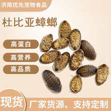 �űȁ�������x�������r���׃ɫ���~�،m�ת{��ֳ�M�I�B