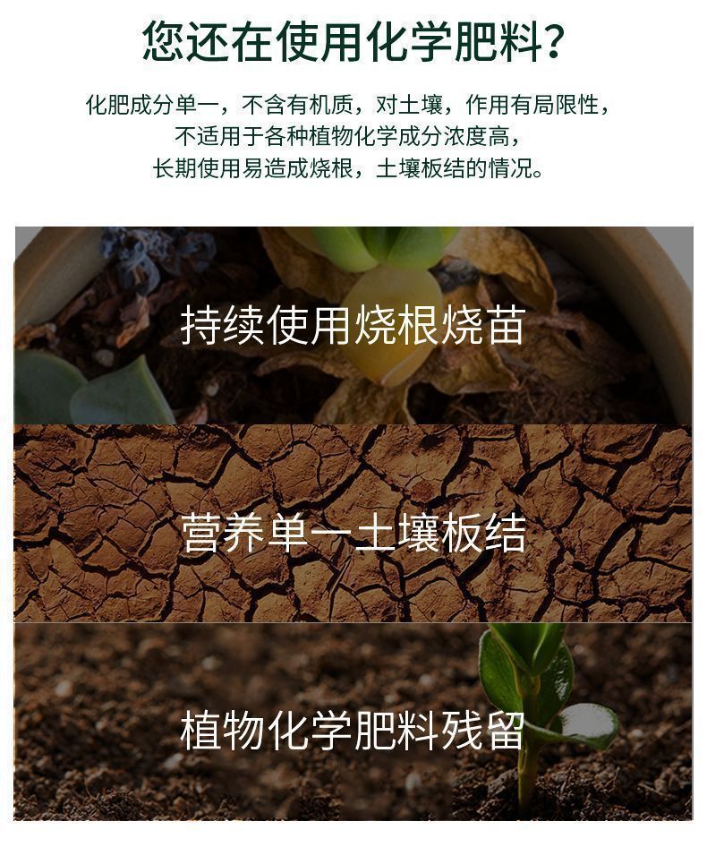 f91b4269-e509-43d9-b63b-4dd7f8eb660f.jpe