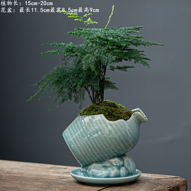 Ge 가마 노치 힙 플라스크 블루 + 아스파라거스 + Ge 가마 트레이