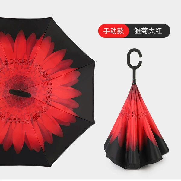 Daisy Red Hand-Opened