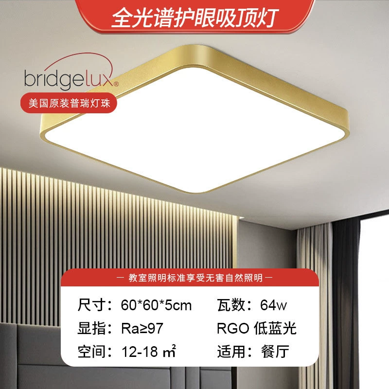 Golden LED ceiling light, lights for corridor, room light, light luxury style