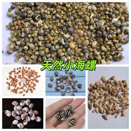 海螺/贝壳;工艺原料;风铃