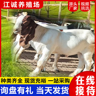 ���N����ɽ���ɽ����w��ɽ��N����r��С����С������ɽ���