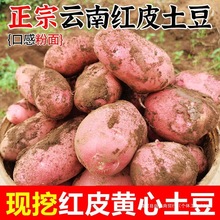 ����������r�F�ڼtƤ�S������10/3��С�����N�����r���ԷN���l