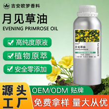 ��Ҋ����������ե�ἃ�\��������Ħ��ϴ�o���w�䷽�{�乩؛